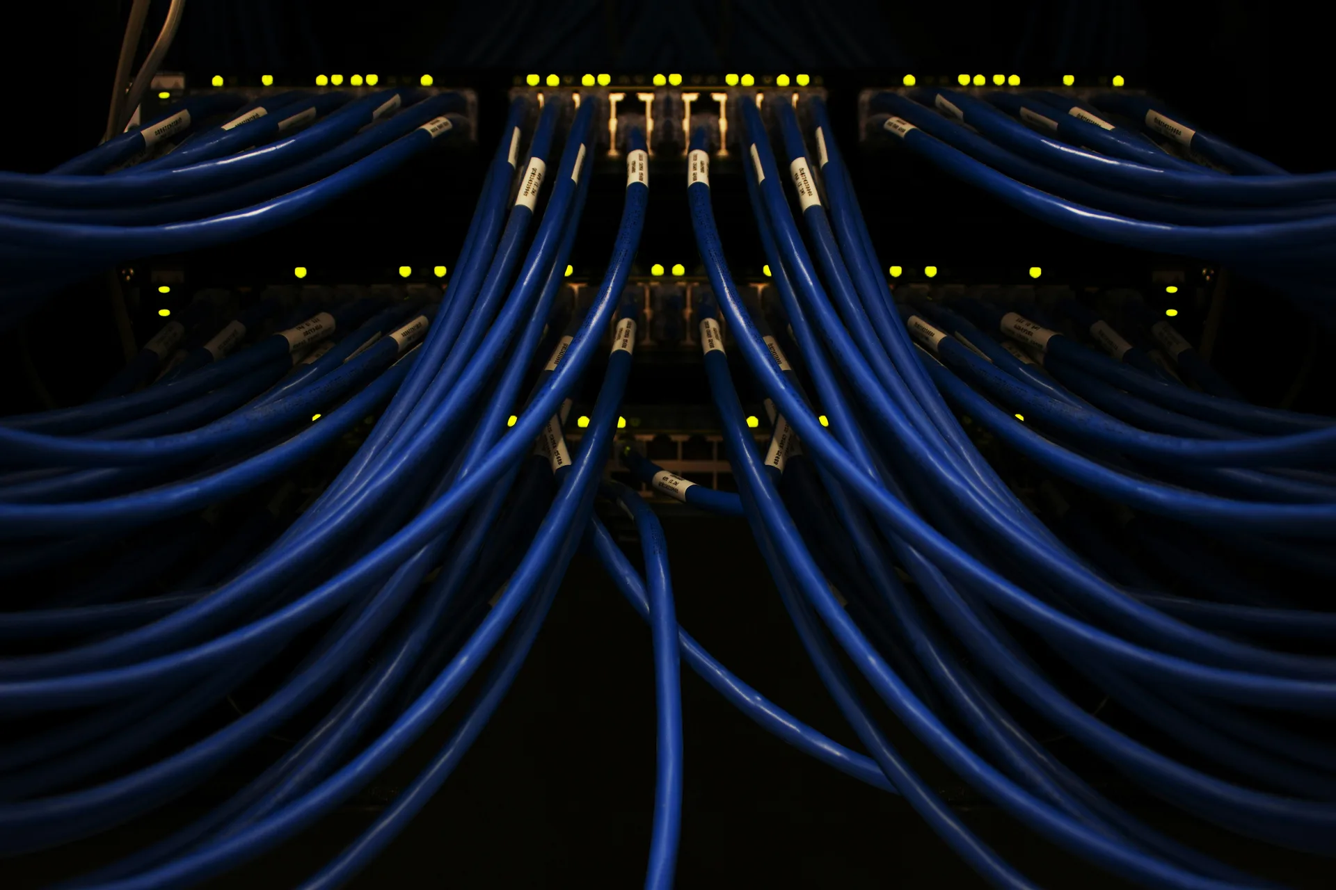 Blue ethernet cables connected to a network switch